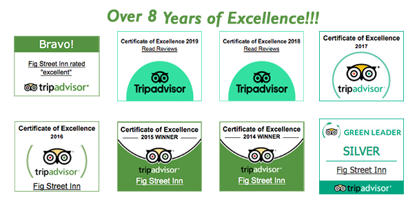8 Years of Excellence, TripAdvisor Reviews
